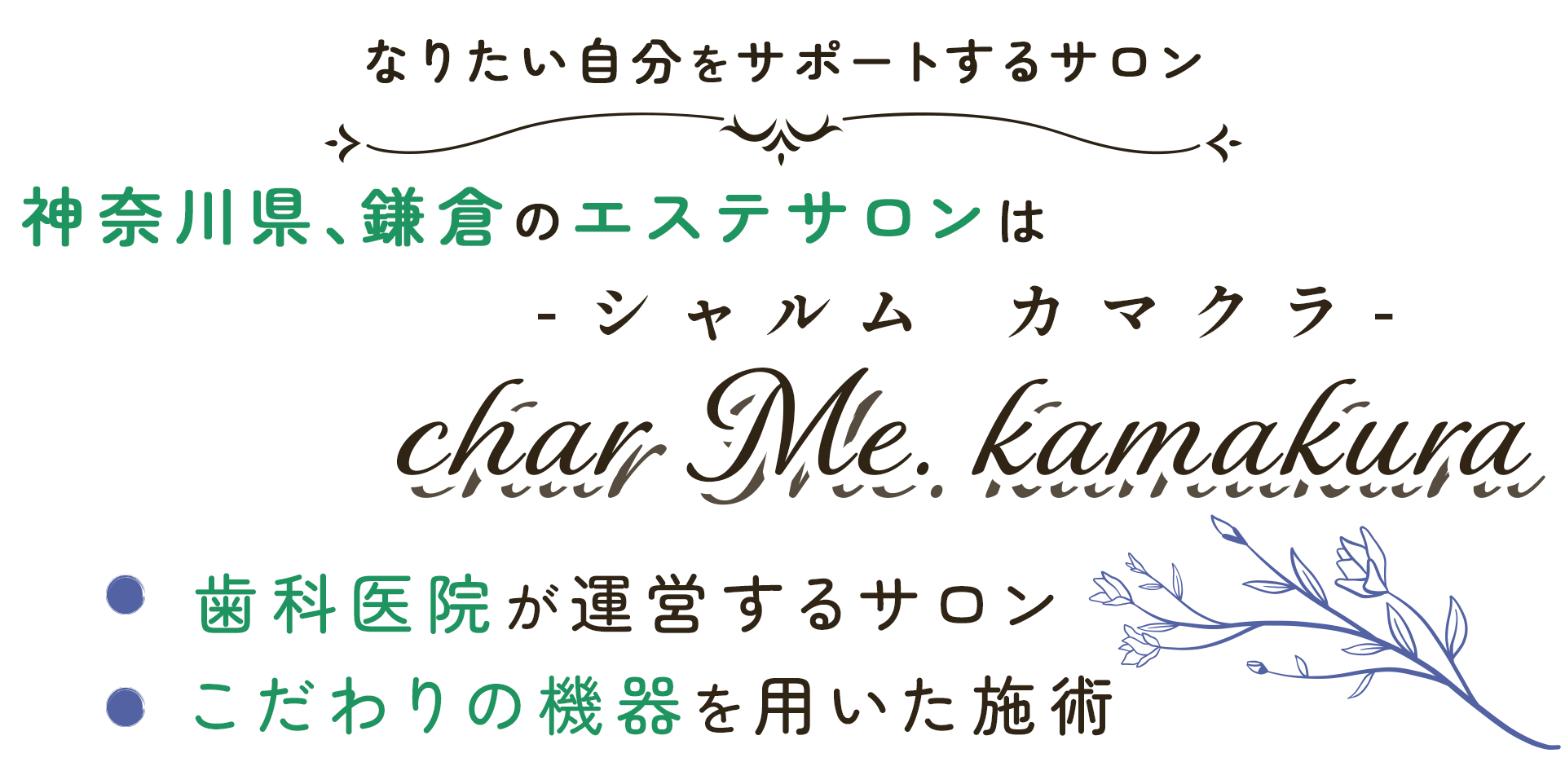 mv_catch